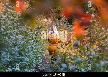 Blonde Frau in gelber Jacke, die durch eine Waldlichtung geht Mit Farn überwuchert Stockfoto