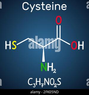 Cystein (L-Cystein, Cys, C) proteinogenes Aminosäuremolekül. Strukturelle chemische Formel auf dem dunkelblauen Hintergrund Stock Vektor