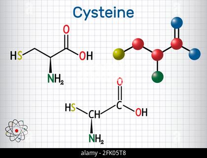 Cystein (L-Cystein, Cys, C) proteinogenes Aminosäuremolekül. Blatt Papier in einem Käfig. Stock Vektor
