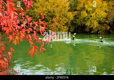 Menschen Kajakfahren im Herbst. Marne in Ile-de-France (Frankreich). Rote Blätter Ahornbaum Zweig im Vordergrund. Stockfoto