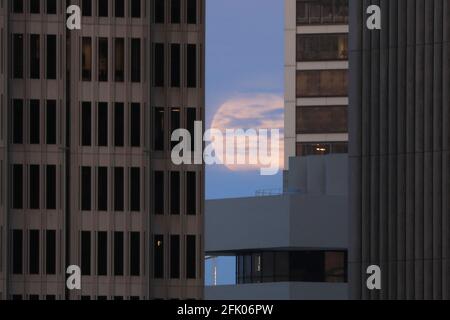 San Francisco, USA. April 2021. Der Supermond ist in San Francisco, USA, am 26. April 2021 zu sehen. Quelle: Liu Yilin/Xinhua/Alamy Live News Stockfoto
