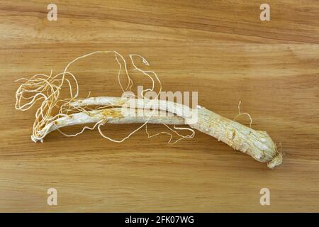 Nahaufnahme der getrockneten Radix Ginseng-Wurzel (Shin seng) Auf Holzhintergrund (Panax Ginseng) Stockfoto