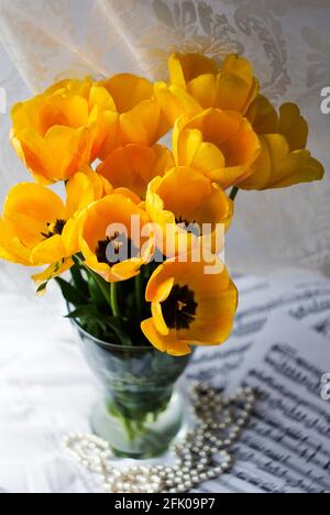 Bouquet von riesigen gelben Tulpen in einer Vase. Foto Stockfoto