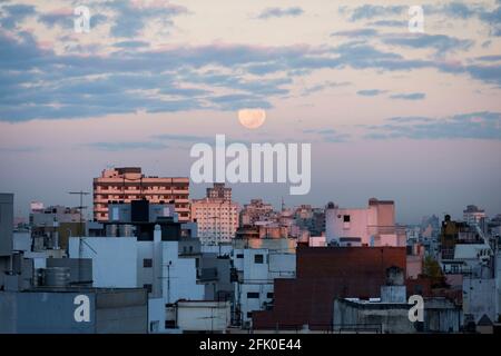 27. April 2021, Stadt Buenos Aires, Stadt Buenos Aires, Argentinien: WorldNews.- Pink Super Full Moon Setting in Buenos Aires, Argentinien, am 27. April 2021 (Bildnachweis: © Julieta Ferrario/ZUMA Wire) Stockfoto