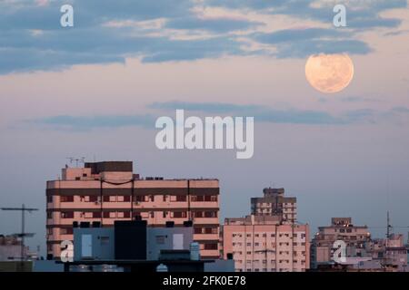 Stadt Buenos Aires, Stadt Buenos Aires, Argentinien. April 2021. WorldNews.- Pink Super Full Moon Setting in Buenos Aires, Argentinien, am 27. April 2021 Credit: Julieta Ferrario/ZUMA Wire/Alamy Live News Stockfoto