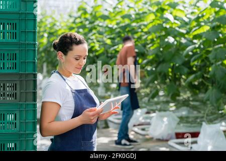 afroamerikanischer Landwirt, der sich ein digitales Tablet in der Nähe eines Arbeitskollegen ansieht Auf unscharfem Hintergrund Stockfoto