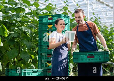afroamerikanische Frau zeigt digitale Tablette an Landwirt halten Kunststoff Feld Stockfoto