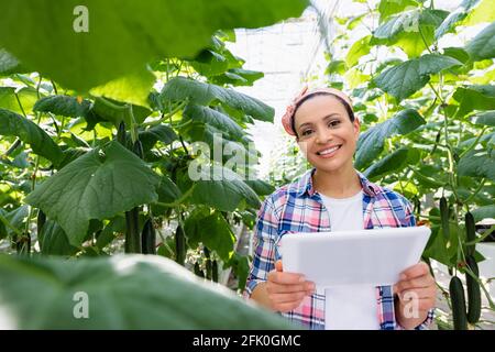 afroamerikanischer Landwirt mit digitaler Tablette in der Nähe von Gurkenpflanzen auf Verschwommener Vordergrund Stockfoto