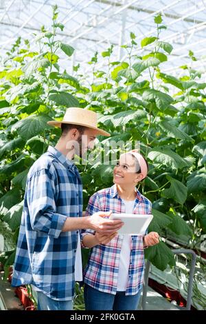 Bauer hält digitale Tablette in der Nähe fröhlichen afroamerikanischen Kollegen in Gewächshaus Stockfoto