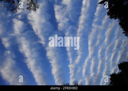 Stratocumulus Undulatus Wolken Stockfoto