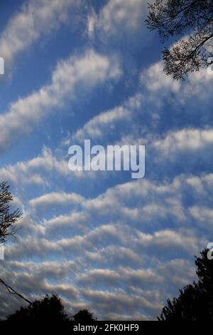 Stratocumulus Undulatus Wolken Stockfoto