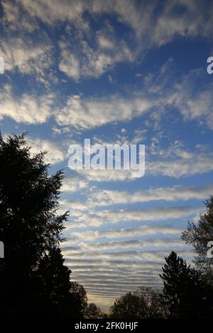 Stratocumulus Undulatus Wolken Stockfoto