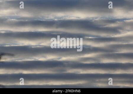 Stratocumulus Undulatus Wolken Stockfoto