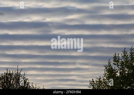 Stratocumulus Undulatus Wolken Stockfoto