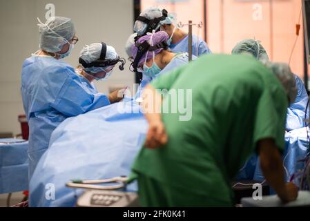 Essen, Deutschland. April 2021. Ein Team von Ärzten und chirurgischen Assistenten steht während einer Operation im HNO-Operationssaal der Universitätsklinik um einen Patienten herum. Der Neubau des Operationsflügels für den Augen- und HNO-Betrieb kostete fast 70 Millionen Euro. Dies sind laut Universitätsklinikum derzeit die modernsten Operationssäle in Deutschland und Europa. Quelle: Jonas Güttler/dpa/Alamy Live News Stockfoto