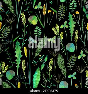 Nahtloses Muster mit Wiesenwildblumen, Kräutern, Gräsern. Aquarell handgezeichnete botanische Illustration auf schwarzem Hintergrund. Aquarell floral Kräuter Stockfoto