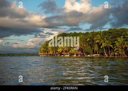 Starfish Beach bei Sonnenaufgang, Bocas del Toro Insel, Panama, Mittelamerika Stockfoto