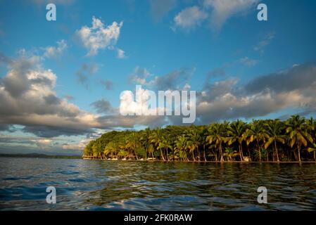 Starfish Beach bei Sonnenaufgang, Bocas del Toro Insel, Panama, Mittelamerika Stockfoto