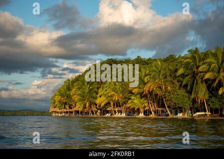 Starfish Beach bei Sonnenaufgang, Bocas del Toro Insel, Panama, Mittelamerika Stockfoto