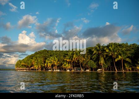 Starfish Beach bei Sonnenaufgang, Bocas del Toro Insel, Panama, Mittelamerika Stockfoto