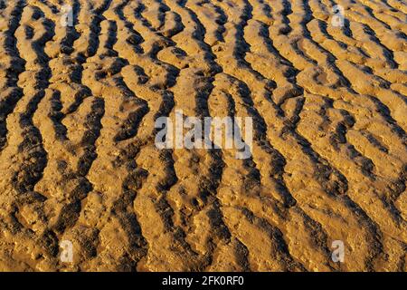 Abstract Blick auf Wellen auf dem Meeresboden bei Low Tide. Wellen, die durch das Zurückziehen von Gezeiten gebildet werden. Relief betont von Deep Shadows from Low Sun Stockfoto