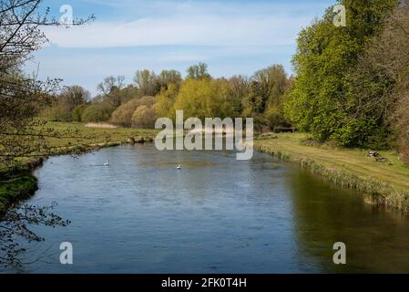 Stockbridge, Hampshire, England, Großbritannien. 2021. Der berühmte Kreidestrom River Testen Sie, wie er durch die Grafschaft Hampshire in Südengland fließt Stockfoto