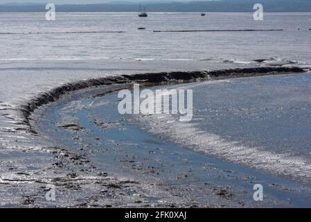 Watt am Fluss Dee. Stockfoto