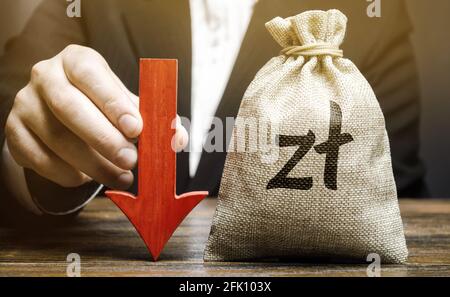 Geldbeutel mit poliernem Zloty-Symbol und rotem Pfeil nach unten. Wirtschaft fällt. Wirtschaftliche Schwierigkeiten. Stagnation, rückläufige Geschäftstätigkeit, sinkender Wohlstand. C Stockfoto