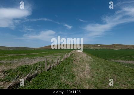 Paraglders schweben an einem schönen Tag über den Pewsey Downs In Wiltshire Stockfoto