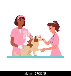 Patient Hund Termine in der Tierklinik Vektor-Illustration Cartoon Tierarzt Arzt Frauen Charakter in rosa medizinische Uniform arbeiten, halten Hund Stock Vektor