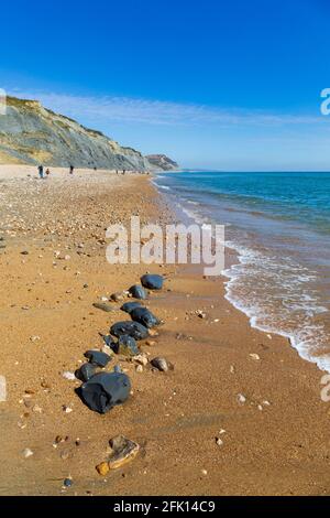 Fossilienjäger am Strand von Charmouth an der Jurassic Coast. Dorset, England Stockfoto