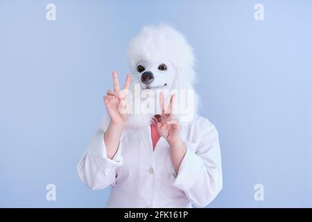 Junge Frau in einer Latex-Hundekopfmaske und weißem Mantel, die Victory-Handzeichen auf blauem Hintergrund macht. Arzt medizinische veterinärmedizinische Konzepte. Stockfoto