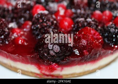 Nahaufnahme eines gefrorenen gemischten Beerenkäsekuchen mit einem leichten Eis und Frost auf den Beeren. Stockfoto