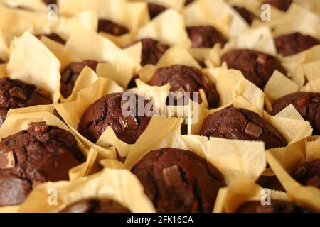 Tablett mit Schokoladen-Muffins Stockfoto