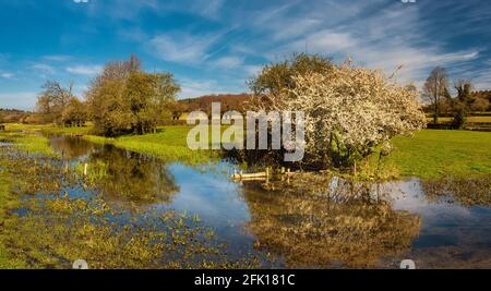 Landschaft von Little Missenden Natur und Fluss Misbourne, Chilterns, Buckinghamshire, England Stockfoto