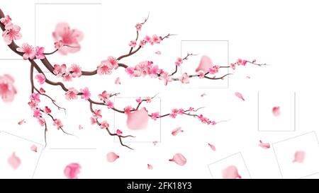 Sakura-Blütenzweig. Fallende Blütenblätter, Blumen. Isolierte fliegende realistische japanische rosa Kirsche oder Aprikose florale Elemente fallen nach unten Vektor Hintergrund Stock Vektor