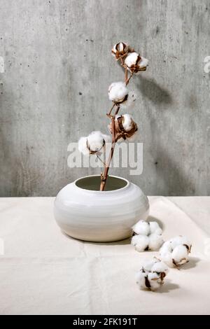 Baumwollzweig in weißer Keramikvase auf weißer Leinentischdecke. Zarte weiße Baumwollblumen. Speicherplatz kopieren. Stockfoto