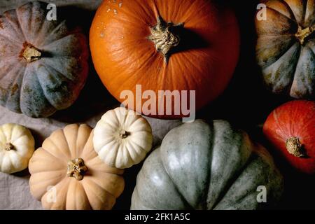 Bunte Kürbisse Kollektion verschiedene Größen und Sorten auf Leinen Tischdecke. Flach liegend. Herbsternte. Stockfoto