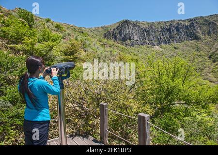 Auf dem Yeongsil Wanderweg nach Hallasan auf der Jeju Insel Stockfoto