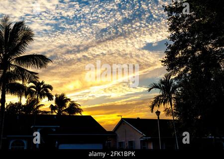 Sonnenuntergang in Südflorida über Wohnhäusern mit Silhouette von Palmenhäusern. Tiefblaue und orange Sonne tief am Horizont hinter Cirrus, nicht Cumulus. Stockfoto