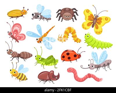 Cartoon-Insekten. Fliegenkäfer, niedlicher Schmetterling und Käfer. Lustige Gartentiere. Ameisenbumblebee und Spinne Marienkäfer für Kinder Vektor-Illustration Stock Vektor