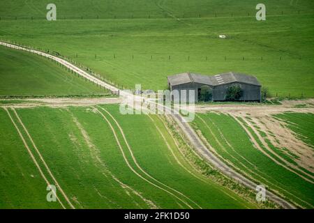 Isolierte Scheunen auf Cranborne Chase. Stockfoto