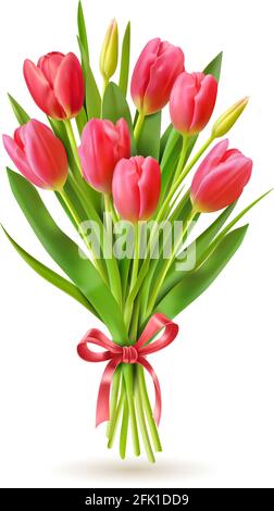 Tulpenstrauß. Realistische 3d Frühling holland Blumen für internationale Frau Tag 8 märz, Mutter und Sieg Tag Grußkarte Vektor Bild Stock Vektor