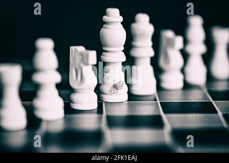 Schwarz-weiße Schachfiguren Stockfoto