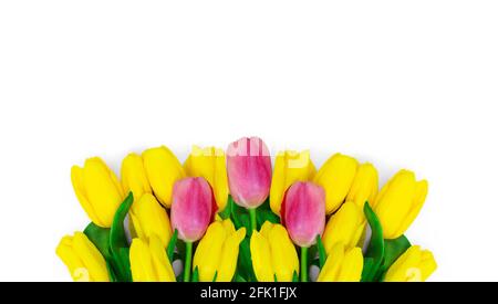 Großes Bouquet von Gelb mit rosa Tulpen auf weißem Hintergrund. Glückwünsche, Blumenkarte. Isoliert Stockfoto