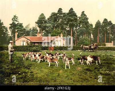 Royal Staff College zieht in Camberley, Surrey, um 1890-1900 Stockfoto