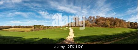 Ein Pfad zwischen den Feldern der Chiltern Hills in der Nähe von Little Missenden, Buckinghamshire, England Stockfoto