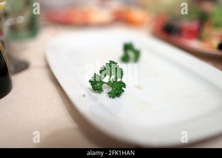 Das Stück Petersilie auf einem Teller nach dem Abendessen Stockfoto