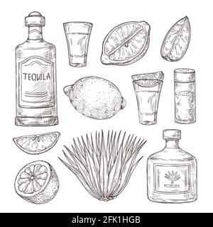 Agave-Tequila-Skizze. Vintage Glas Shot, Barzutaten und Pflanzen. Isolierte Zeichnung Alkoholflasche, Salz Zitrone oder Limette Vektorgrafik Stock Vektor