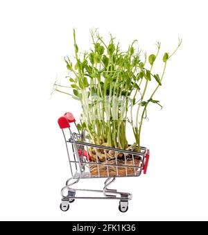 Microgreens im Warenkorb isoliert auf weiß. Microgreens zum Verkauf. Vitamine aus der Natur. Veganer und gesunder Superfood-Lieferservice. Frische Öko f Stockfoto